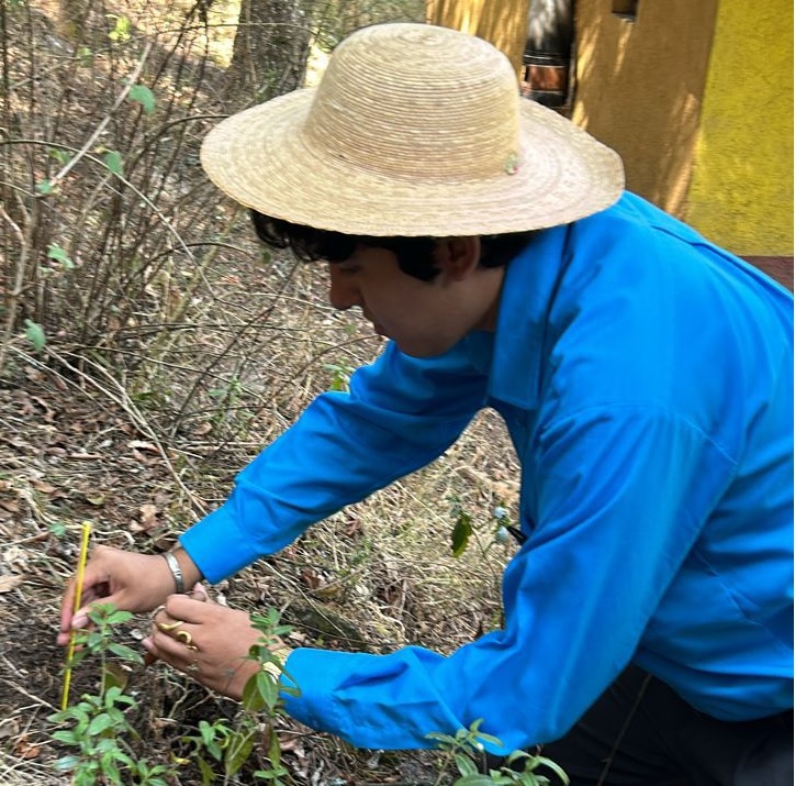 ecologia